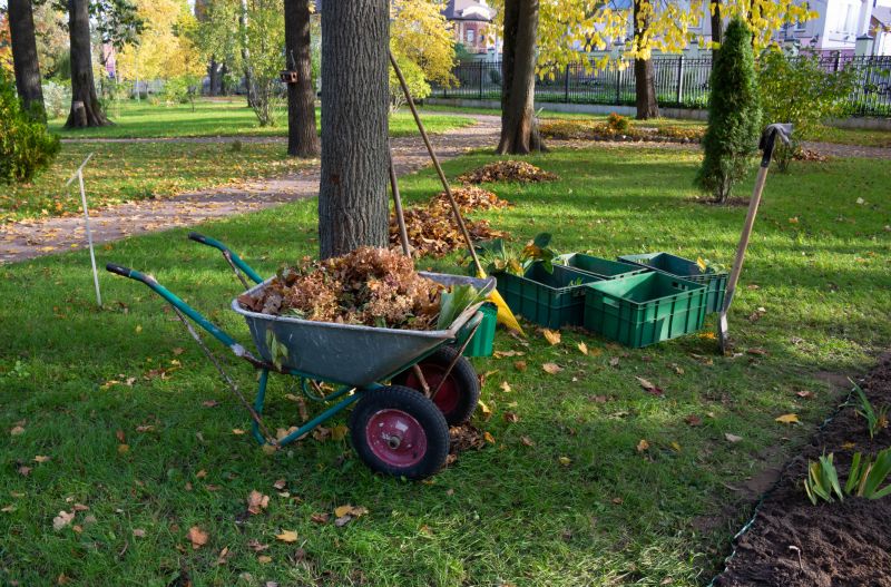 Leaf Removal