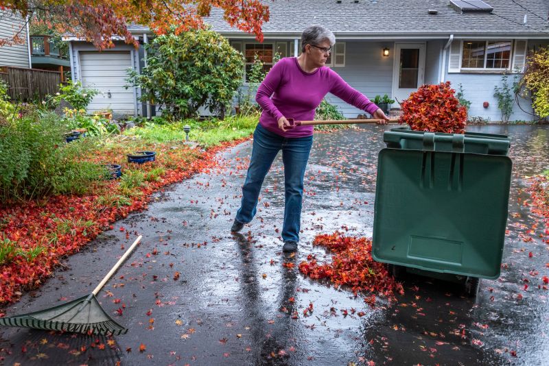 Clean Yard with Mulched Leaves