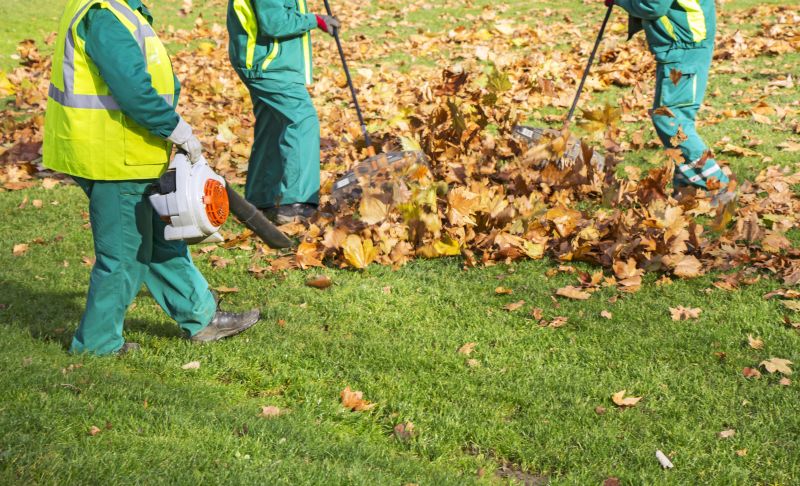 Lawn Clean Up Service
