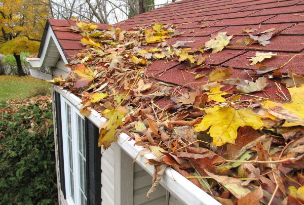 Roof Leaves Removal - Roof Leaves Removal Atlanta, Georgia